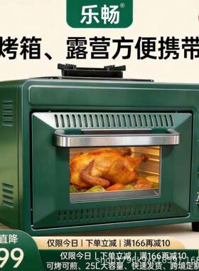 2026新款户外燃气烧烤炉卡式炉烤箱一体便携露营野炊大容量烘焙炉