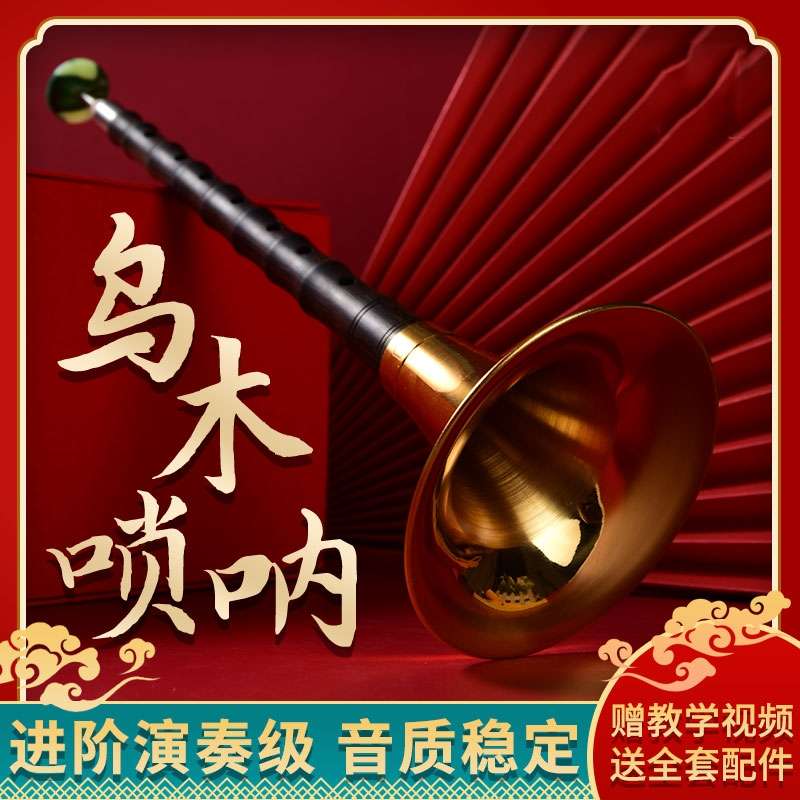 乌木唢呐民间乐器初学入门D调专业演奏C调B调鼓号队小号黄铜喇叭
