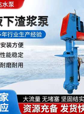 P液下渣浆 泵耐无塞立式抽沙泵矿磨JEB山化阻工浆体输送液下S渣浆