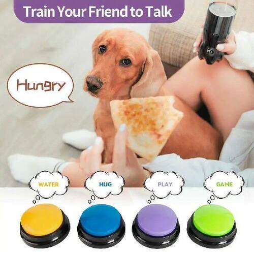 Recordable Pet Starter Talking Speaking Buttons Dog