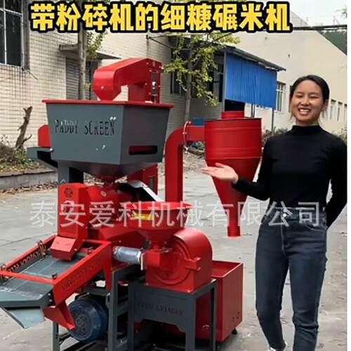 家用商用水稻脱皮机新款双头机碾米机大米脱壳机去石机带提升机