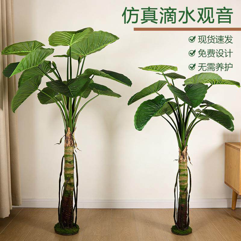 大型仿真植物滴水观音客厅盆景落地装饰摆件商场橱窗造景假绿植