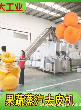 商用黄桃去皮机无需药剂果肉完整度高提升产品市场竞争力