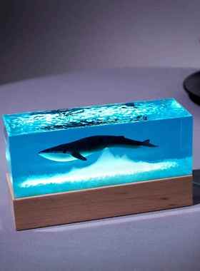桌面手工工艺品现代高级小众朋友送礼海洋鲸鱼水晶树脂灯饰摆件潮