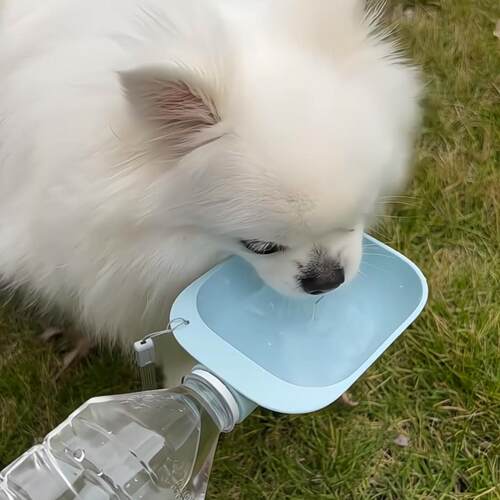 狗狗喝水杯外出便携式遛狗创意矿泉水瓶狗碗可拆卸猫咪宠物喂水器