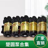 自吸泵 100G楚圆增压泵 净水器滤水机电机水泵自吸增压泵