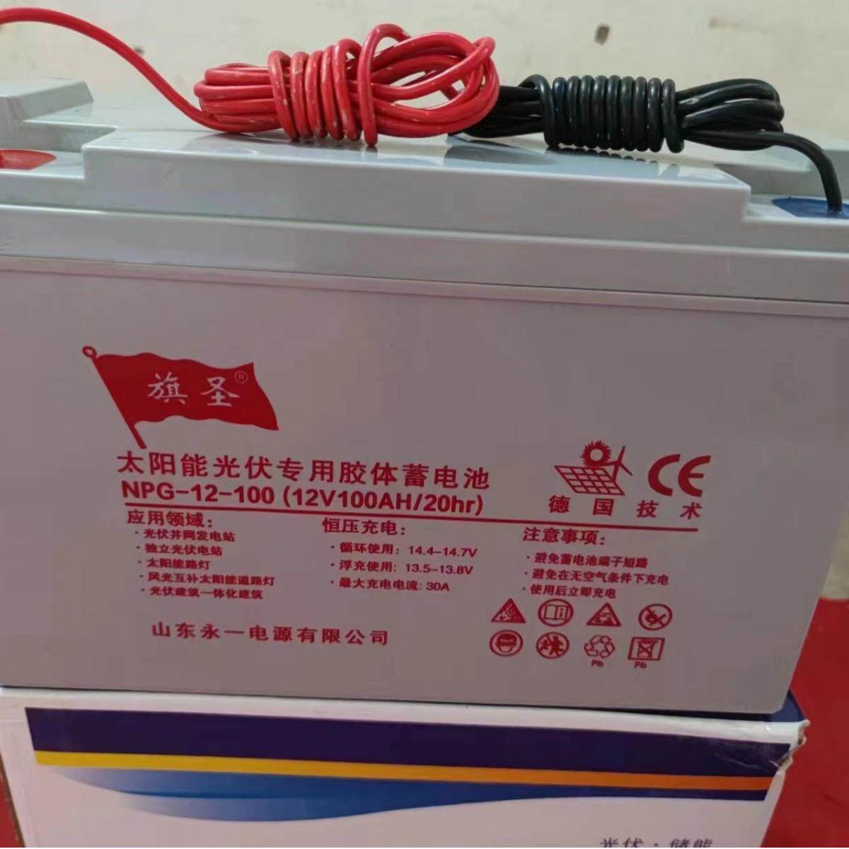 旗圣NPG12-100 12V100AH铅酸免维护胶体蓄电池机房应急太阳能光伏