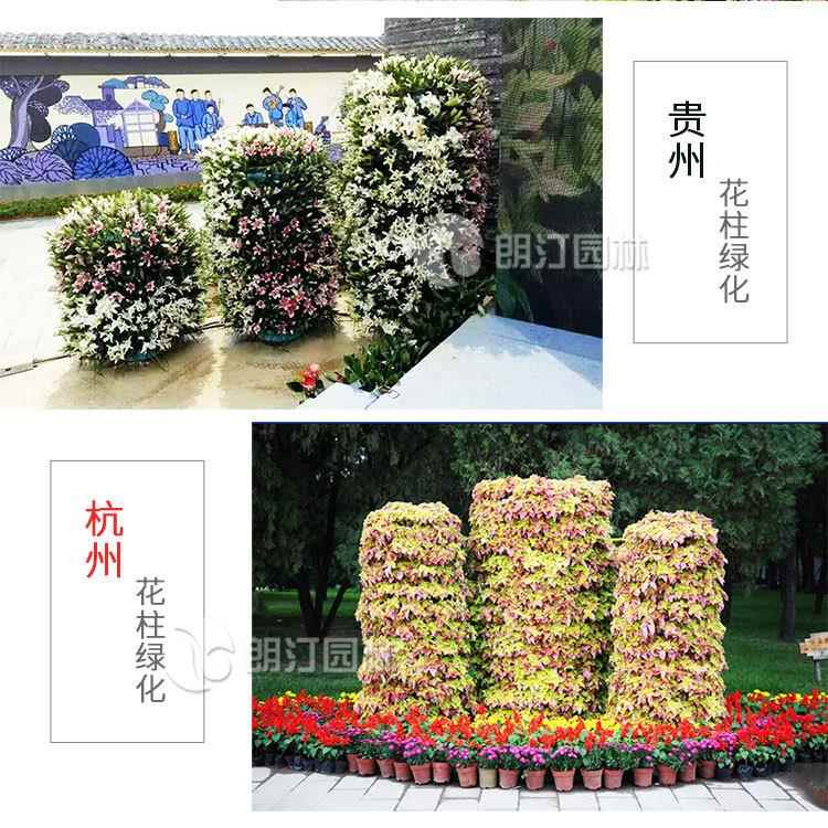 国庆户景外杆立式观绿化花柱灯花盆垂直蓄水花盆栏花杆立体绿8040