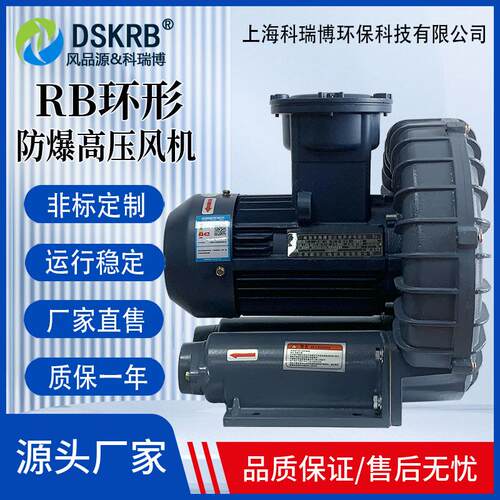 RB1010 EX-750W高压气体防爆风机 锂电池隔膜防腐旋涡式风机