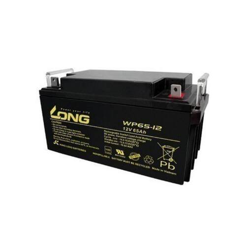 LONG广隆蓄电池 WP65-12 12V65AH太阳能发电机房照明监控设备专用