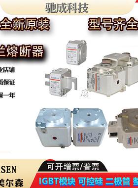 罗兰FR10GB69V1 FR10GB69V1.25 FR10GB69V1.5 保险丝供应价优