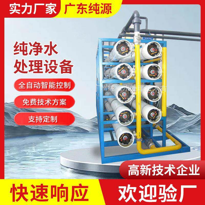 大型双极纯水设备纯净水处理设备商用反渗透纯水机工业净水器