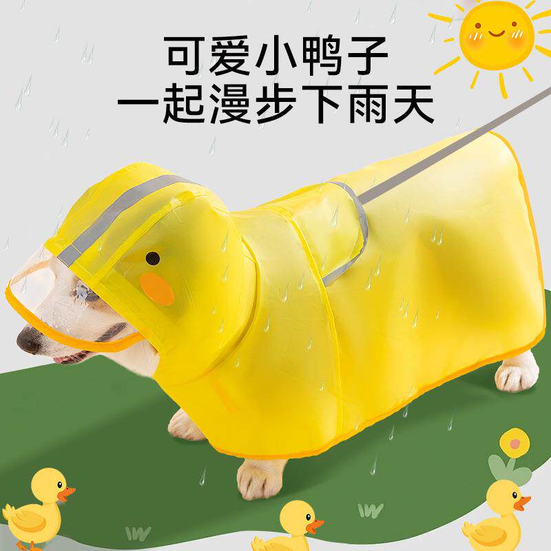 柯基犬专用狗狗雨衣中小型犬泰迪雪纳瑞柴犬宠物雨天衣服防水肚兜