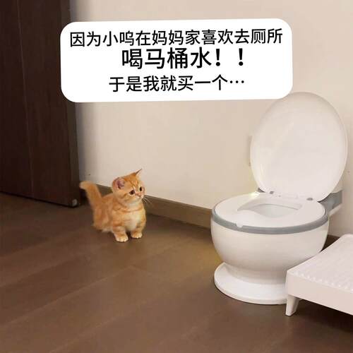 猫咪马桶水碗坐便器饮水机创意宠物骗水神器防打翻大容量大口径