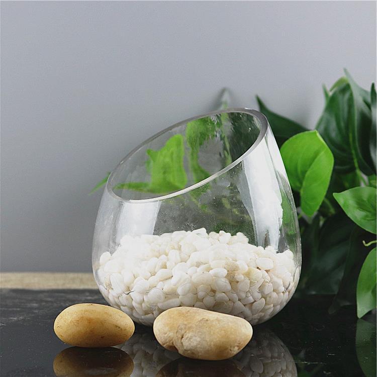 斜口透明创意水培玻璃花瓶微景观生态瓶绿萝水养植物器皿花盆摆件