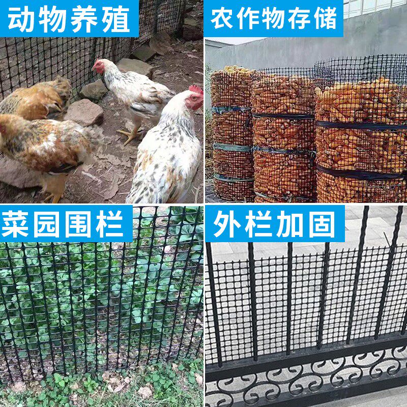 塑料围栏网养殖鸡鸭防护网格果园拦网隔离围网栅栏小孔2厘米网孔