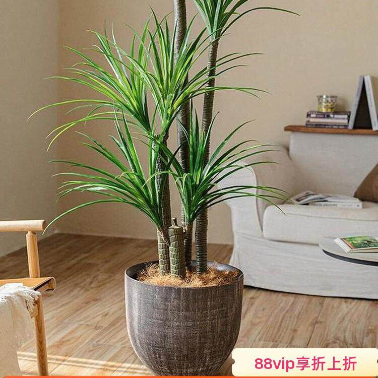 北欧轻奢简约落地大花盆大型落地植物专用盆室内客厅装饰摆件