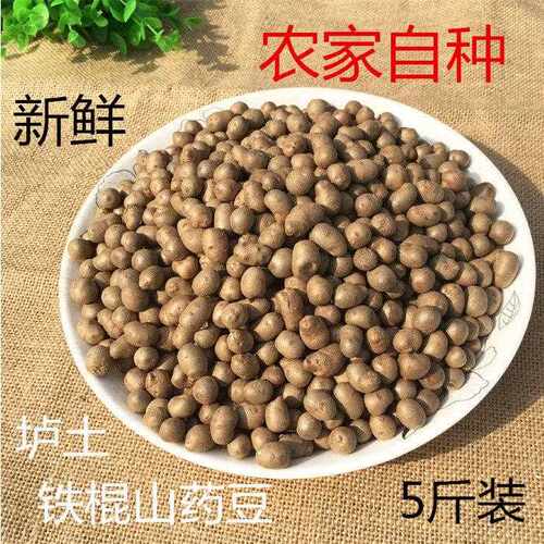 新疆包邮铁棍山药豆新鲜焦作温县垆土山药蛋豆 怀铁棍旦5斤装