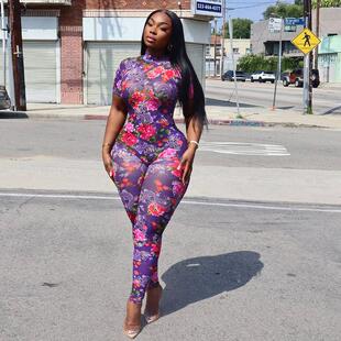 Statement See Through Mesh Print Detailed Open Back Fitted