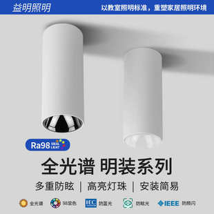 筒灯家用过道灯原木风客厅防眩射灯卧室免开孔吸顶圆形无主灯 明装