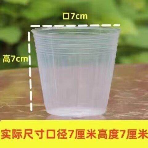 白色育苗杯塑料营养杯营养钵草莓育苗杯育苗碗加厚结实防老化