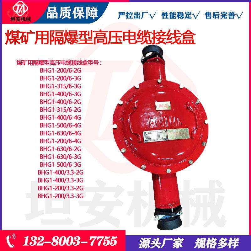 坦安煤矿用隔爆型高压电缆接线盒BHG1-200/10-3G3.3KV6KV10KV