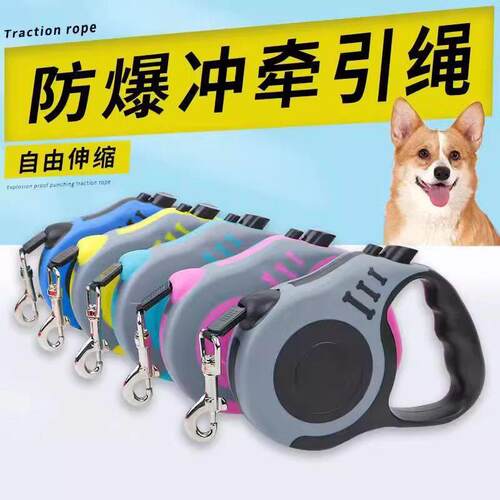 狗狗牵引绳自动伸缩狗炼子小狗泰迪遛狗绳小型中型犬宠物项圈胸背
