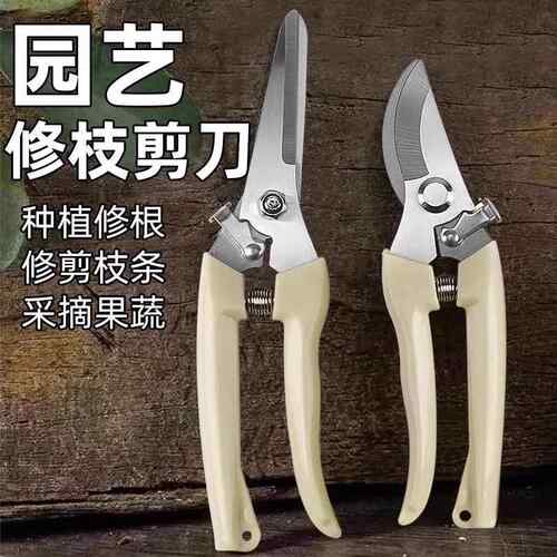 果树剪刀修枝神器摘果剪树剪花卉枝剪刀绿化嫁接园林园艺修剪剪枝