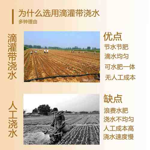 16mm带节水带贴片式滴灌浇地工具农用灌溉滴管喷水大棚蔬菜