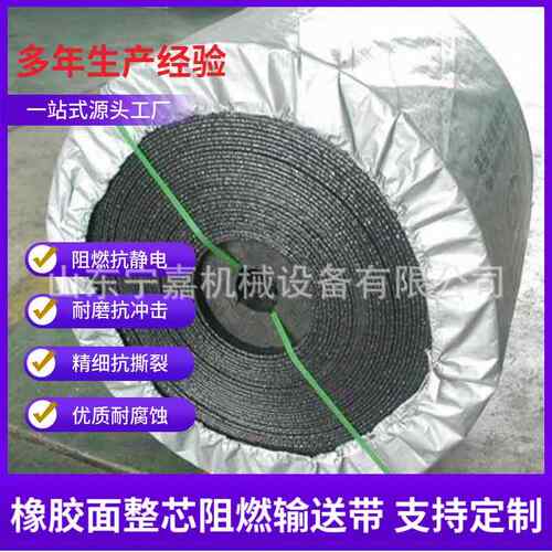 PVG1000S-800mm整芯阻燃输送带PVG800S整芯阻燃带阻燃输送带