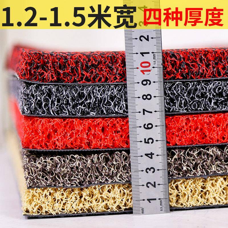 特厚进门垫防滑加厚丝圈地垫入户门大门口蹭脚垫子地毯定制可裁剪
