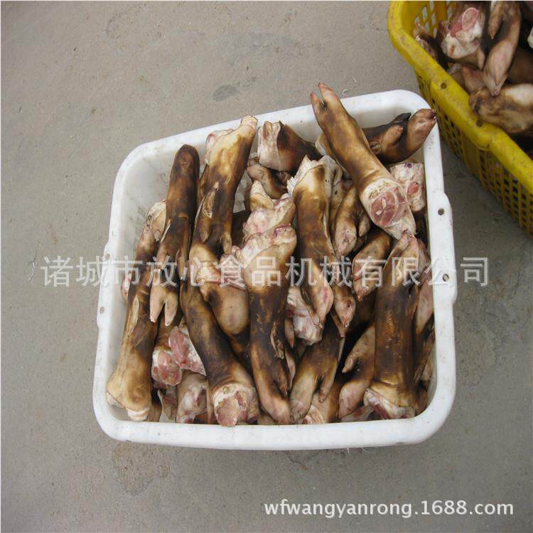 FX-100FX-10000全销自动清洗猪机 毛刷辊清蹄洗机价格 厂家直价格