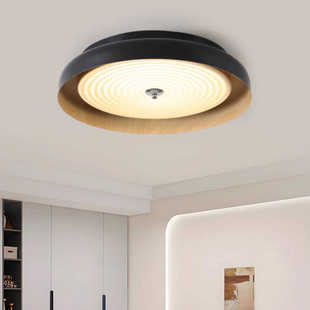 2024新款 设计师创意温馨客厅房间书房灯具 中古风护眼卧室吸顶个性