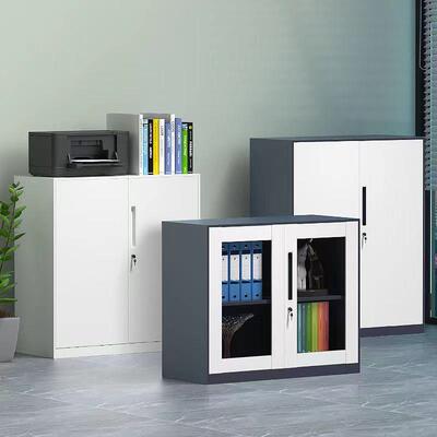 南特文件柜铁皮柜办公档案资料柜带锁财务凭证柜拆装移门文件柜矮