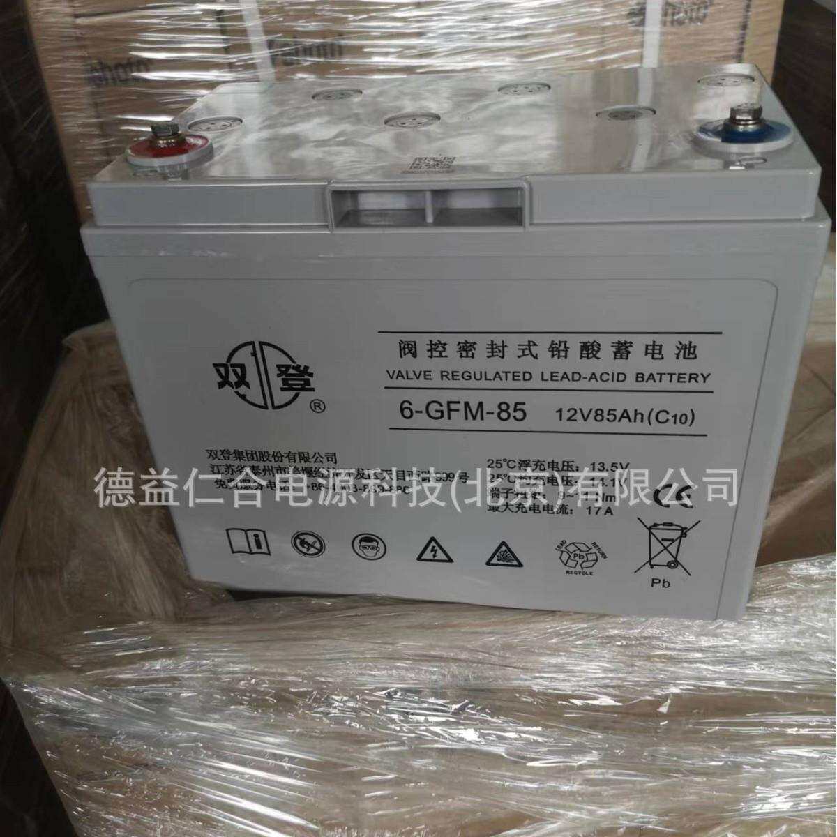 双登蓄电池 6-GFM-85 12V85H铅酸免维护