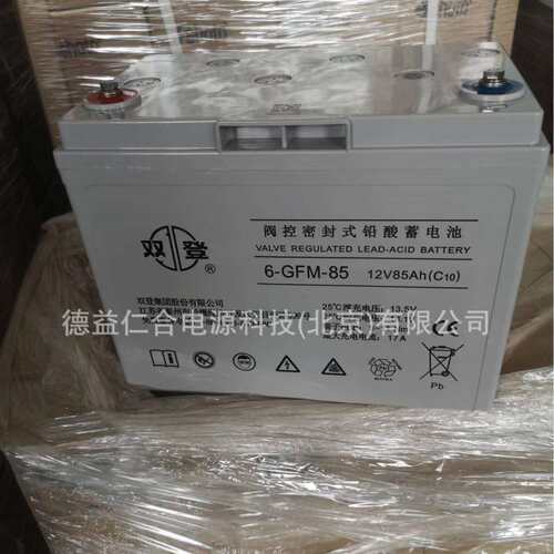 双登蓄电池 6-GFM-85 12V85H铅酸免维护