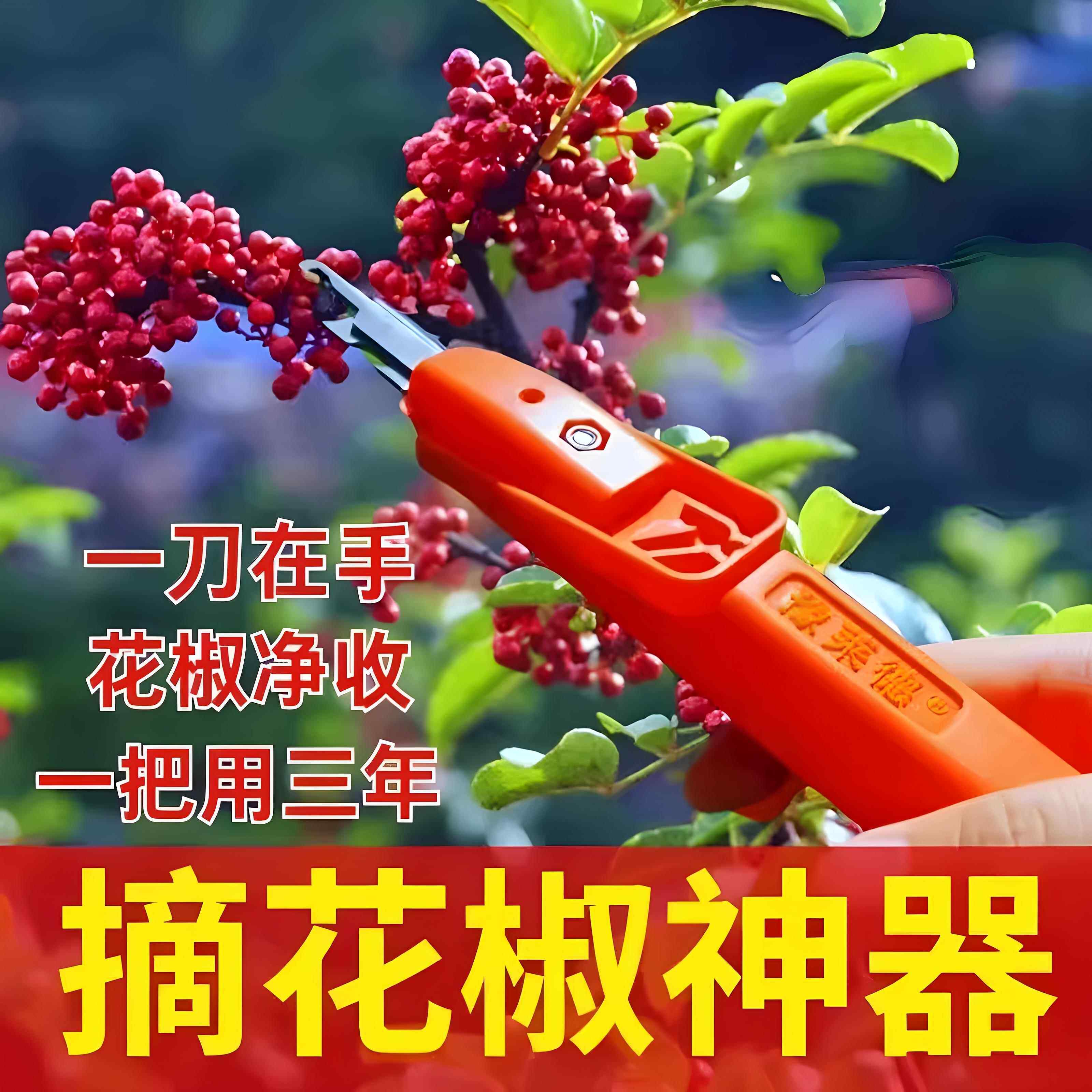 【不用手摘花椒】摘花椒摘花椒采摘器修枝剪刀农用摘花椒剪