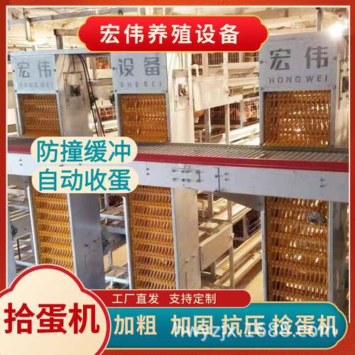 立体式捡蛋机多层养殖笼拣蛋设备宏伟自动化拣鸡蛋装置