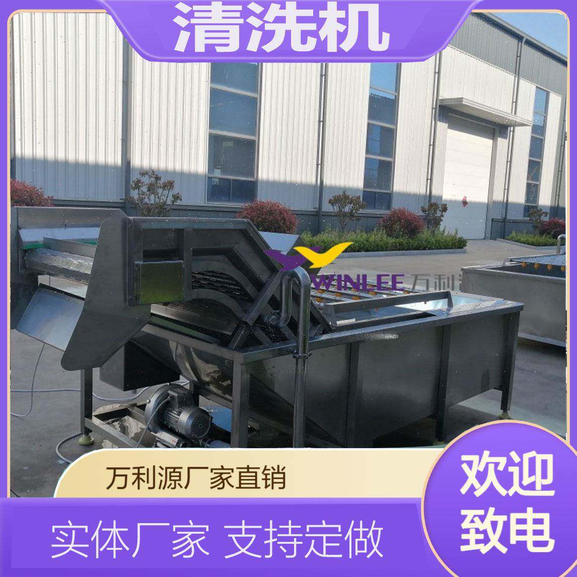 多功能气泡清洗机水果蔬菜海鲜清洗机连续式翻浪洗菜设备