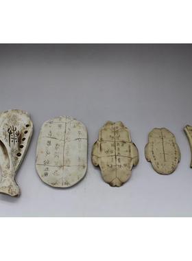 古玩收藏彷古做旧骨雕精美甲骨文龟壳文摆件工艺品骨头树脂摆饰