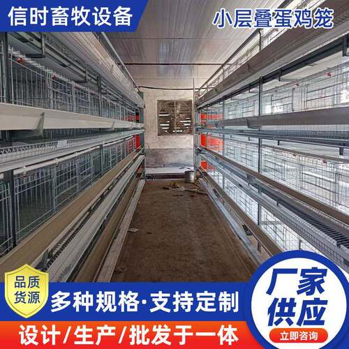蛋鸡笼捡蛋机h型鸡笼层叠自动化蛋鸡养殖设备固定式升降式捡蛋机