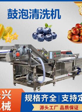 商用鼓泡清洗机杨桃蓝莓大枣气泡清洗机生蚝扇贝小龙虾气泡清洗机