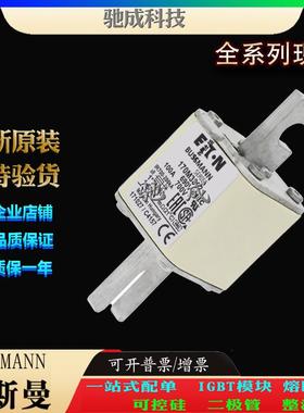 巴斯曼170M3062 170M3063 170M3064 厂家原装优价供应 低压熔断器