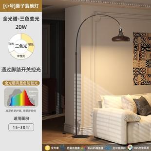 正品 御天读摩登复高级感钓鱼落地灯客厅卧室床头古眼阅台护灯立式