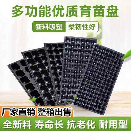 育苗盘育苗盆穴盘塑料杯多肉种植营养钵蔬菜育种扦插营养杯育苗盒