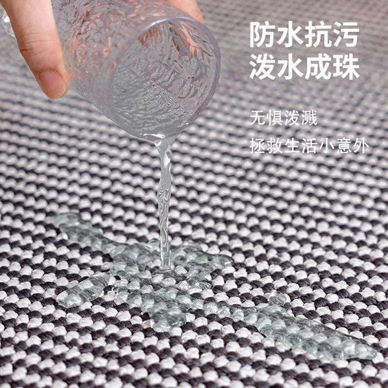 防水抗污双色黑白客厅地毯新款轻法式免洗打理地毯卧室床边地垫子