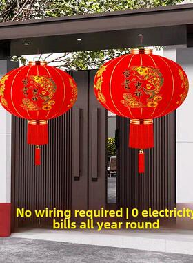 ZXA20笼25新太园红灯新年布户外阳台大门春节花阳宫灯