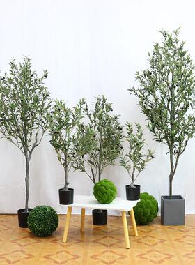 仿真绿植橄榄树ins 北欧风大型植物落地客厅装饰摆件室内造景假树
