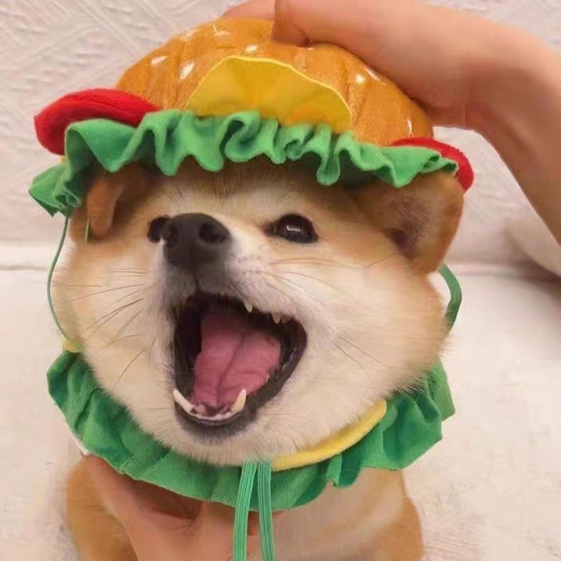宠物狗狗汉堡头套发饰猫咪帽子卡通可爱搞怪柴犬衣服个性服饰道具