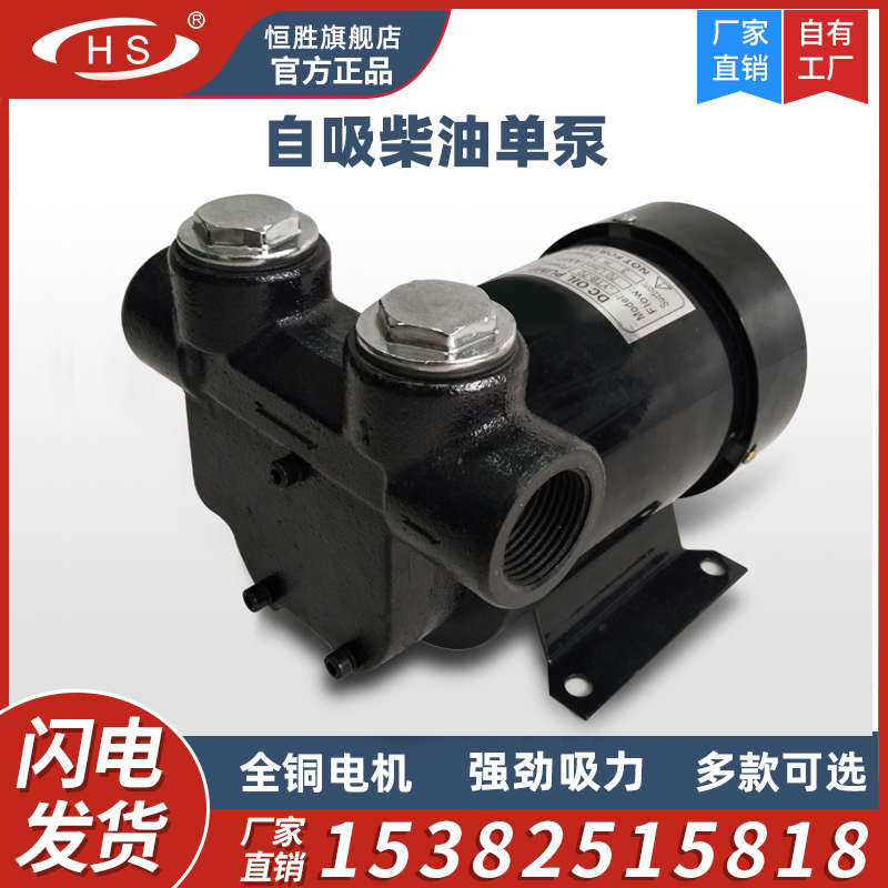 12V24V220V原装自吸泵柴油加油抽油泵交直流泵全电自动全铜芯电机